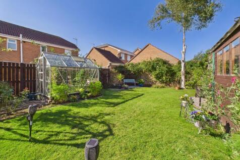 Garden: