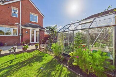 Garden: