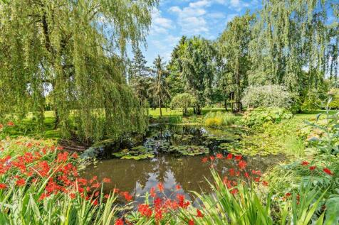 Pond