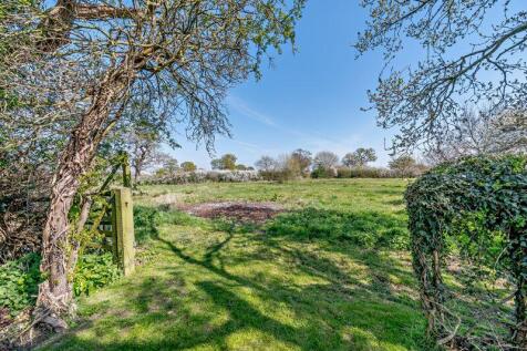 Paddock Land