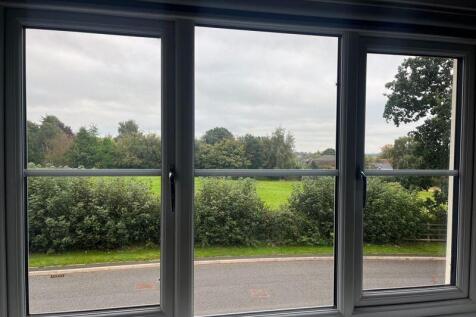 View from Window