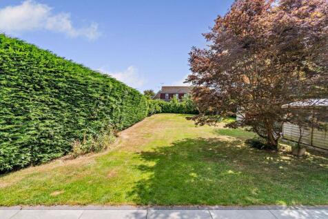 Back Garden