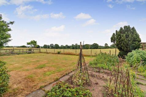 Vegetable Plot