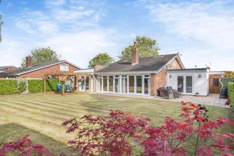 Back Garden