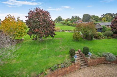 Aerial view of garden