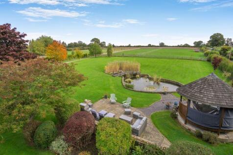 Elevated view of garden 2