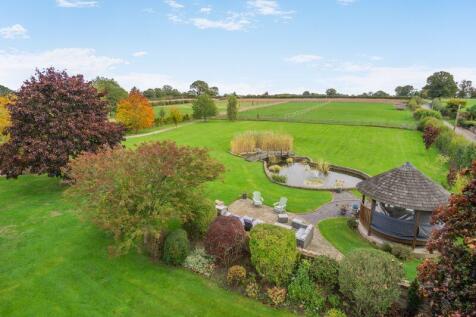 Elevated garden view 3