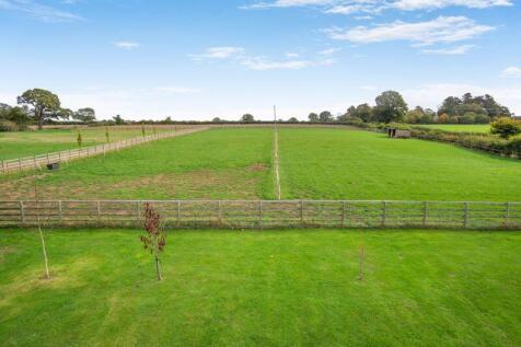 Elevated view of paddock 2