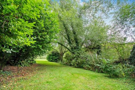 Garden (3)