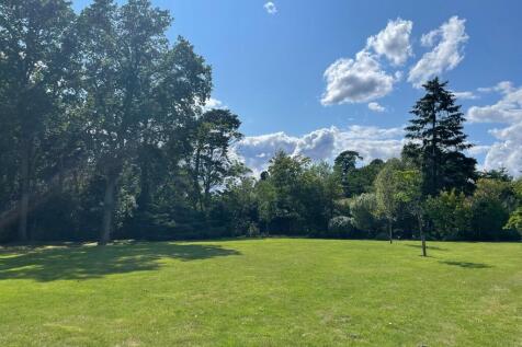 Communal Grounds 