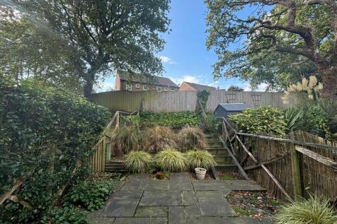 Rear Gardens 