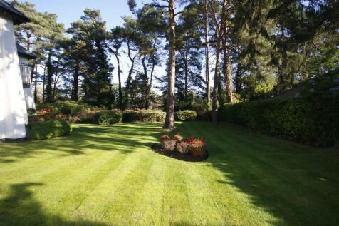 Communal Gardens 