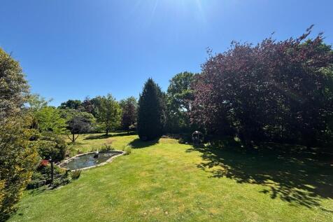 Stunning Grounds 
