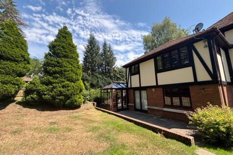 Rear Elevation 
