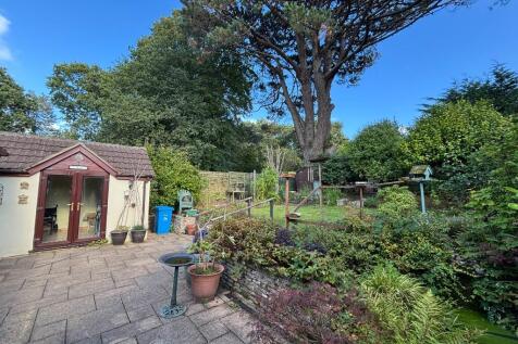 Rear Gardens 