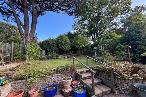 Rear Gardens 