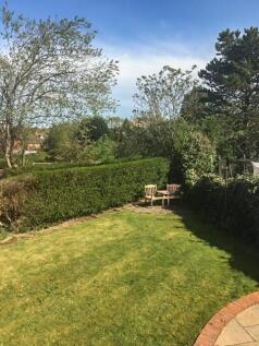 Garden.jpg