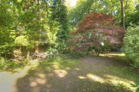 Gordon Road 26 290824 Rear Gdn 2.jpg