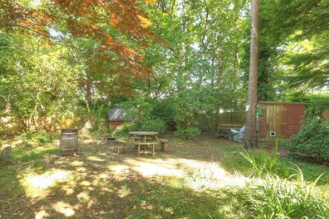 Gordon Road 26 290824 Rear Gdn 3.jpg
