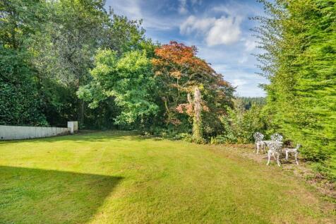 Property Image 39