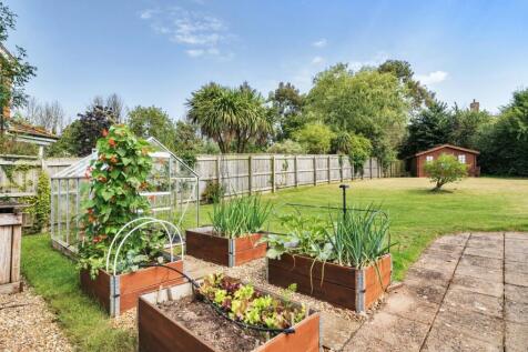 Vegetable Garden
