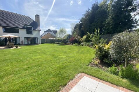 Back Garden