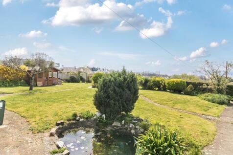 Back Garden