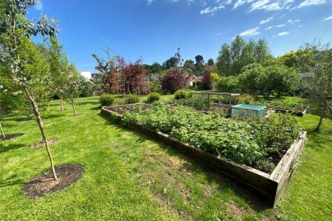 Veg Patch