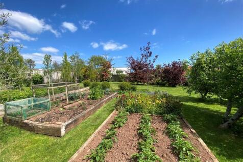 Veg Patch