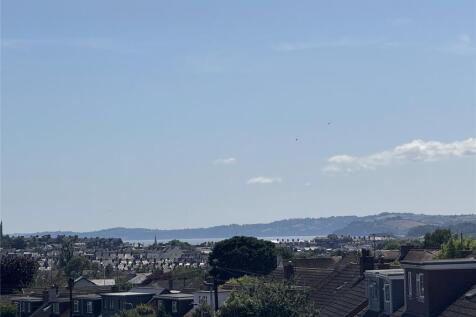 View From 1st Flr