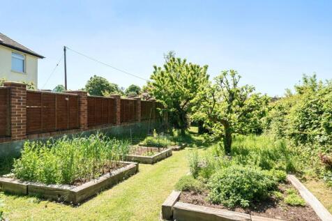 Vegetable Patch