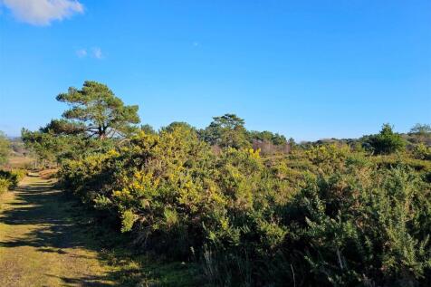 Nearby Walk