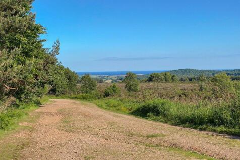 Woodbury Common