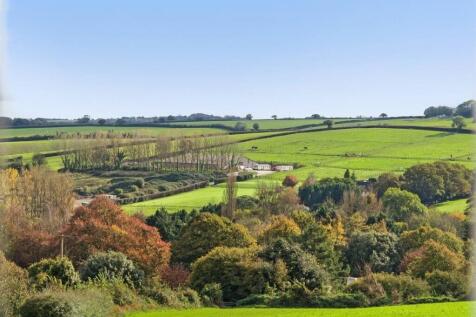 Property Views