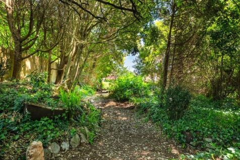 Woodland