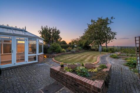 Twilight Garden