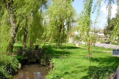 COY Pond.JPG