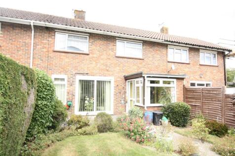 rye ash rear aspect.JPG