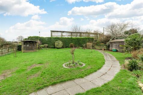 Back Garden