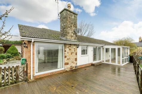 Back Garden