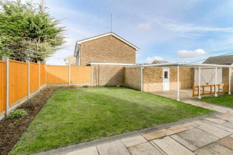 Back Garden