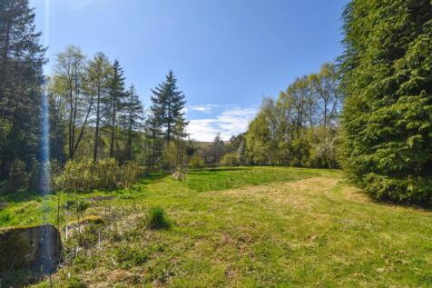 Swinsid new Paddock.jpg