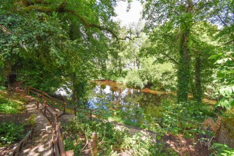 River Eden From the Bank