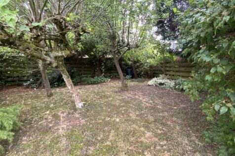 Small Orchard Area