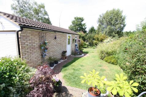 29 Staple rear garden 1.JPG