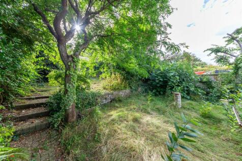 Garden 3