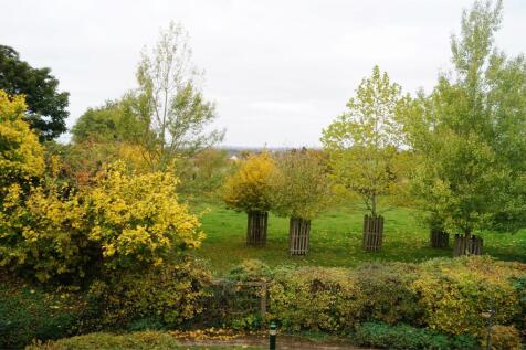 Photograph 8