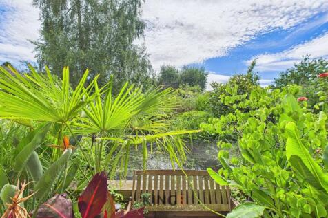 Pond
