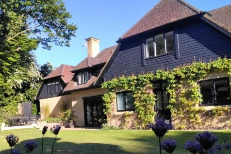 Property Image 39