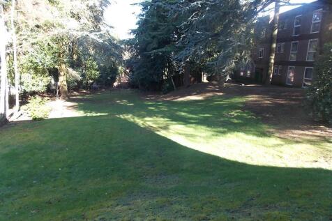 Grounds